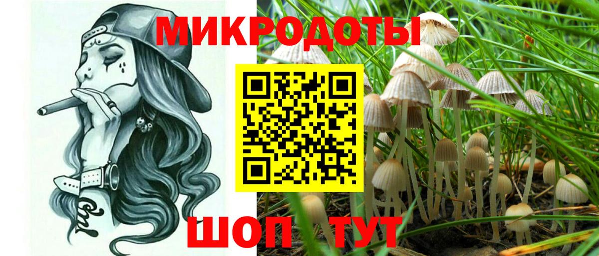 Псилоцибиновые грибы Psilocybine cubensis Тихвин